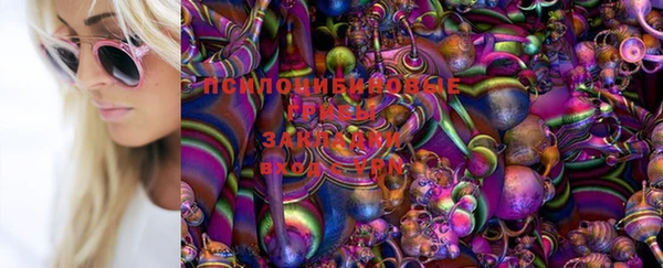 амф Аркадак